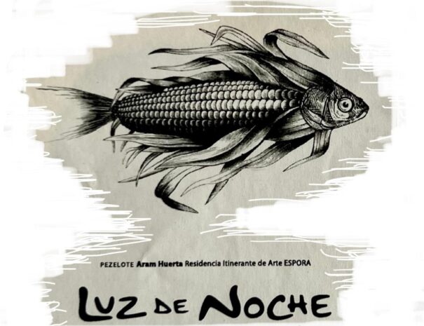 luzdenoche